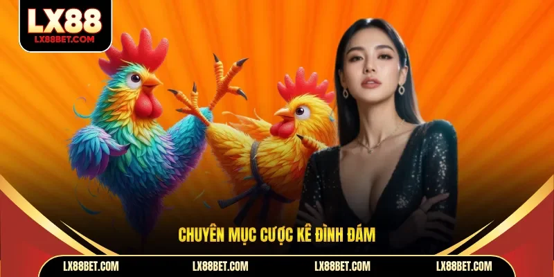 Chuyên mục cược kê đình đám